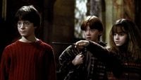 Reżyserska wersja Harry’ego Pottera pokazałaby cieszącą się sympatią postać