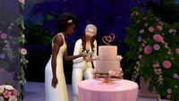 Dodatek do The Sims 4 nie pojawi się w Rosji; powodem homofobiczne prawo