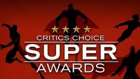 Poznaliśmy nominacje do Critics Choice Super Awards. Wiedźmin powalczy o statuetkę