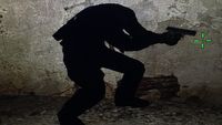 Brak głowy w CS:GO - bug męczy graczy już od roku