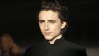 Timothee Chalamet miał kanał YouTube. Modyfikował kontrolery do Xboxa