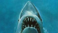 Steven Spielberg niegdyś gardził Netflixem, a od niedawna z nim współpracuje