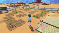 My Time at Sandrock - czy jest coop i multiplayer?
