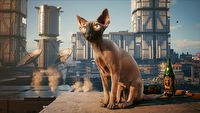 Cyberpunk 2077 z konkursem fotograficznym dla kociarzy