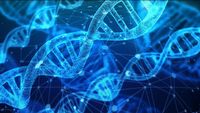 Chińczycy masowo zbierają próbki DNA bez zgody obywateli