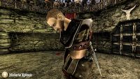 Smutny koniec raju dla fanów Górniczej Doliny, upadek Gothic 2 Online: Historii Kolonii