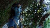 Avatar 5 zabierze bohaterów na Ziemię, żeby „otworzyć Neytiri oczy”