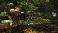 Risen na Steam okupił wersję PL podwojeniem ceny gry