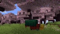 Do Minecrafta trafi tona nowości w aktualizacji 1.20: Trails & Tales