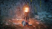 Fire Build w Wo Long Fallen Dynasty