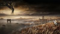 Elden Ring: Shadow of the Erdtree - fakty i tona domysłów na bazie jednej grafiki