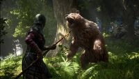 W nowym low-fantasy MMO nie spotkamy żadnej postaci AI, zobaczcie długi materiał