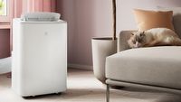 Wentylatory i klimatyzatory kupisz teraz w promocyjnych cenach. Upały nie będą Ci straszne