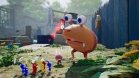 Zobacz długi gameplay z Pikmin 4, wakacyjnego hitu Nintendo