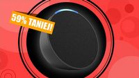 Ale cena! Najmniejszy głośnik Amazon Echo Pop kupisz o ponad połowę taniej