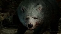 Gracze Baldur's Gate 3 nie walczą pod wpływem; osiągnięcia Steama 3 tygodnie później