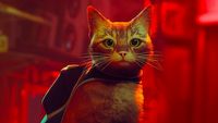 Stray otrzyma filmową adaptację po tym, jak ten kot w zeszłym roku podbił serca graczy