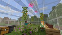Darmowy Minecraft dla wszystkich polskich uczniów od IV klasy wzwyż