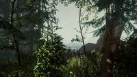 Gra o przetrwaniu w tajemniczym lesie ze znakomitą opinią na Steam, The Forest najtaniej w tym roku