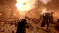 Helldivers 2 wyrosło na wielki hit lutego. W strzelankę grają setki tysięcy graczy jednocześnie