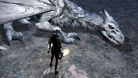Mimo prawie 6 lat „na karku” remaster legendarnego RPG Neverwinter Nights wciąż jest ulepszany. To zasługa niestrudzonych fanów