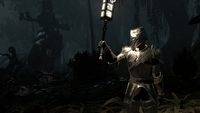 11 lat temu gracze ufundowali MMORPG za 2,2 miliona dolarów. Teraz Camelot Unchained ma termin premiery