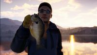2 gry za darmo w Epic Games Store. W jednej połowisz ryby, a w drugiej zostaniesz superbohaterką