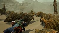 Monster Hunter: Wilds ma być największą grą, jaką kiedykolwiek stworzył Capcom. RPG akcji ponoć nie każe na siebie długo czekać
