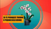 LEGO Orchidea to zestaw, który oczaruje Was nie tylko wyglądem, ale też ceną. To idealna ozdoba dla osób, które potrafią uśmiercić każdą żywą roślinkę