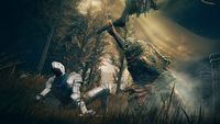 Polska cena Elden Ring Shadow of the Erdtree na Xboxie jest za wysoka? Pojawił się apel do wydawcy