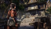 W popularnym MMO Bethesdy pomyszkujemy po domach innych graczy. Nowa aktualizacja ESO ma datę premiery