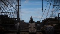 Settlers of Kalguur następnym dodatkiem do PoE. Jest pierwszy teaser i data premiery