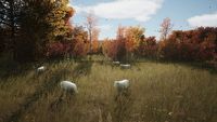 Jadalne owce w Manor Lords, nowa marka twórców God of War, wymagania sprzętowe Star Wars: Outlaws - FLESZ tvgry