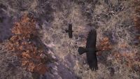 Współtwórca Assassin’s Creed łączy siły z autorem powieści ze świata Warhammera. Efekt to prześliczne Tales from the Mabinogion, inspirowane mitami Walii i malarstwem Van Gogha i Moneta