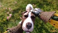 Kingdom Come: Deliverance 2 opóźnione. Czeski RPG otrzymał dokładną datę premiery
