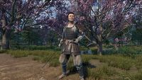 Polskie survivalowe RPG z otwartym światem otrzymało ogromną aktualizację. Nowe podstawy walki i drzewko umiejętności pomogą przetrwać w Sengoku Dynasty