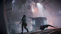 Premiera Star Wars Outlaws powodem zapaści Ubisoftu na giełdzie. Analitycy tną spodziewaną sprzedaż gry