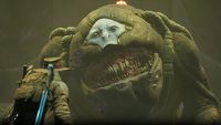„Dark Souls z pistoletami