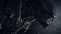 Alien: Isolation otrzyma kontynuację. 10 lat po premierze przerażającej gry o Obcym twórcy potwierdzili sequel