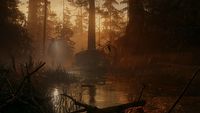 Do domku nad jeziorem w dodatku do Alan Wake 2 udamy się już za kilka dni. Zwiastun zostawia nas z pytaniami o Remedy Connected Universe