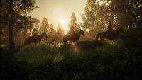 Nowa gra autorów The Last of Us i Uncharted powstaje już 4 lata. Piłka jest po stronie Sony, lecz Naughty Dog ma pełną swobodę twórczą