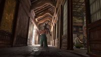 W Assassin’s Creed: Shadows zagramy najszybszym zabójcą w historii serii. Ubisoft wreszcie zdradził motywy wstąpienia Naoe na ścieżkę krwi