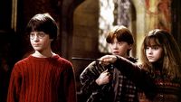 Harry Potter byłby o wiele mroczniejszy i straszniejszy, gdyby wyreżyserował go twórca Fight Clubu. „Powiedziałem, że nie chcę kręcić hollywoodzkiej wersji”