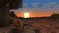 Potrzeba było aż 15 lat, by do popularnego sandboxa trafiły nowe świnki. Gracze Minecrafta mogą już testować pierwszą aktualizację w zmienionej formie
