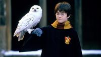 Reżyser oryginalnego Harry’ego Pottera uważa, że Cillian Murphy byłby idealnym Voldemortem i zazdrości twórcom nadchodzącego serialu „fantastycznych” możliwości