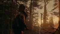 Remedy czekało na to ponad rok, ale firma w końcu zarabia na Alan Wake 2. Poznaliśmy wyniki sprzedaży gry