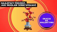 Ten kwiatek LEGO ma tak śliczne kolory! Intensywna czerwień, chłodny róż - chłopaki, dziewczyny, to superprezent, polecam