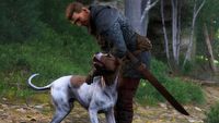 Twórcy Kingdom Come: Deliverance 2 ujawnili zaskakującą i zabawną prawdę kryjącą się za scenami z psem Orzechem. „Odwaga przybiera różne formy”
