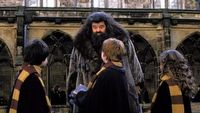 Serialowy Harry Potter znalazł swojego Hagrida. Nick Frost finalizuje umowę na występ w serii fantasy HBO