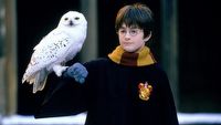 Obsada serialu Harry Potter ujawniona. Wiadomo, kto wcieli się w profesorów Hogwartu w nowej produkcji fantasy HBO